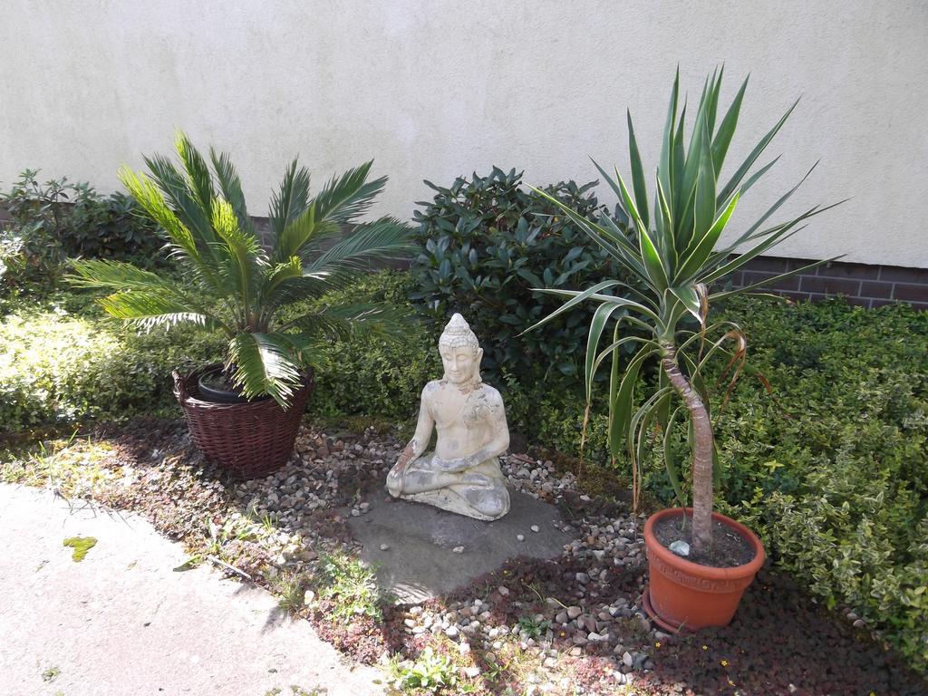Amselgarten Lübben Rum bild