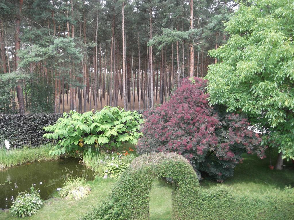 Amselgarten Lübben Exteriör bild