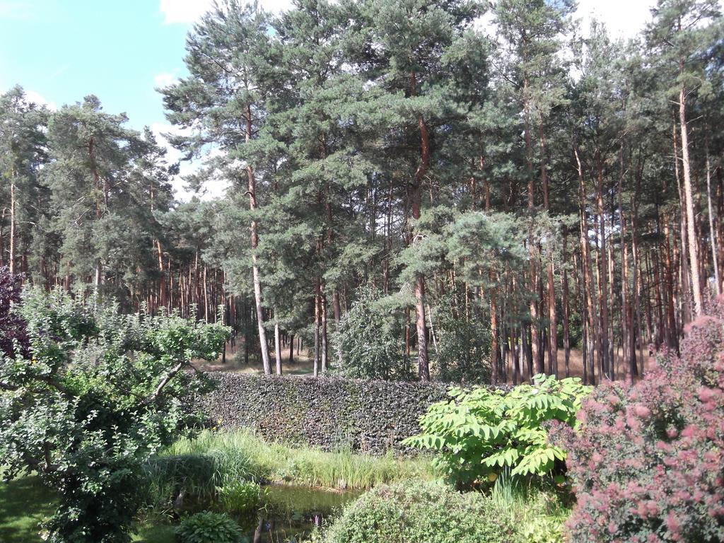 Amselgarten Lübben Exteriör bild