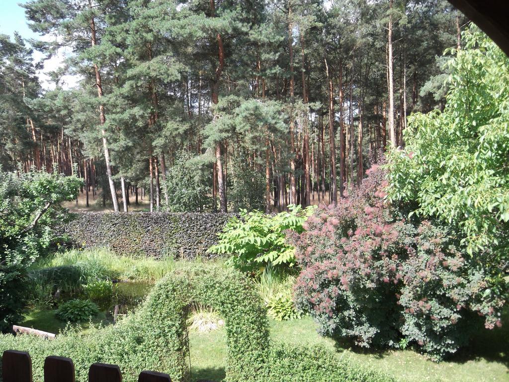 Amselgarten Lübben Exteriör bild