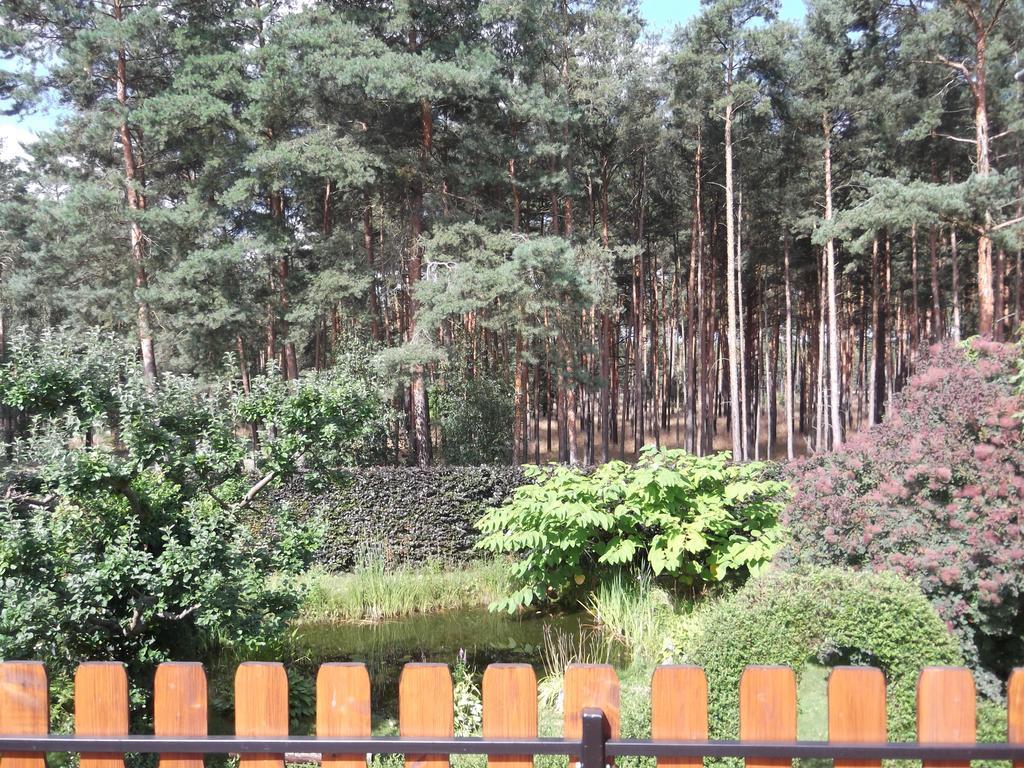 Amselgarten Lübben Exteriör bild