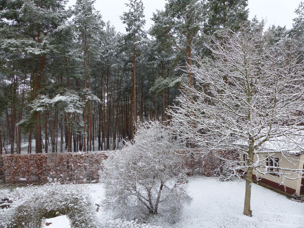 Amselgarten Lübben Exteriör bild
