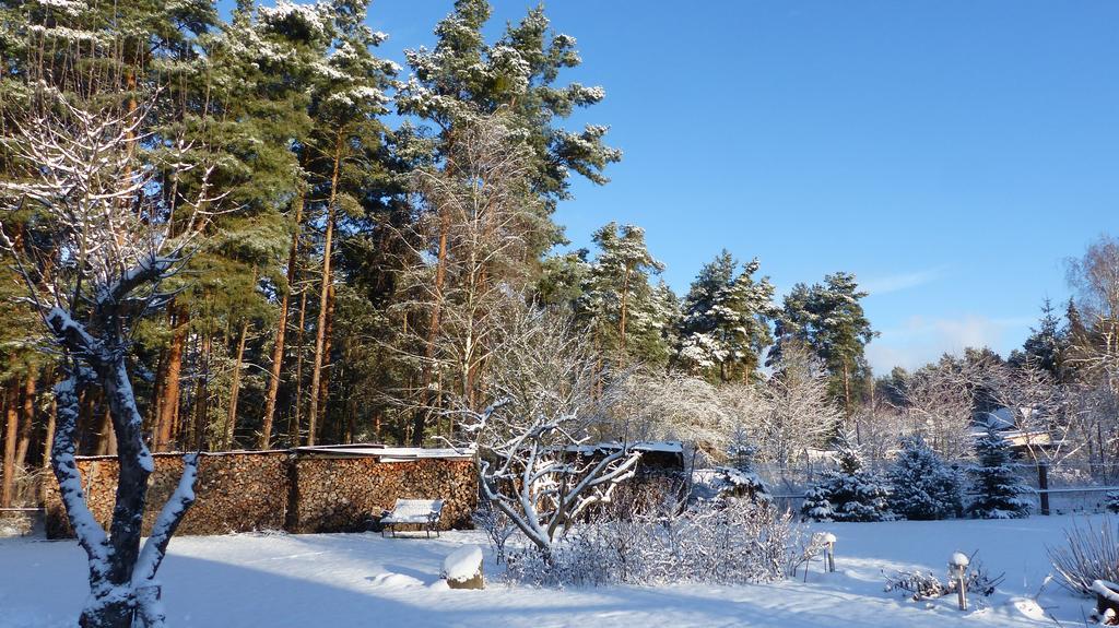Amselgarten Lübben Exteriör bild